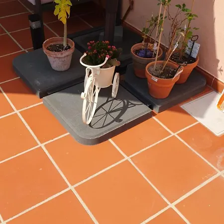 Alojamento de Acomodação e Pequeno-almoço Casa Do Arelho 3*