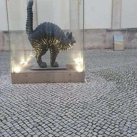 Casa Do Arelho Alojamento de Acomodação e Pequeno-almoço 3*