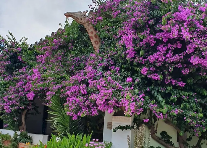 Casa Do Arelho 3* 奥比多斯